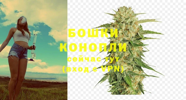 тгк Мегион
