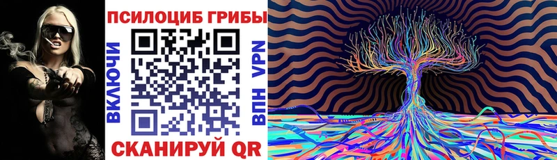 Псилоцибиновые грибы MAGIC MUSHROOMS  Ачхой-Мартан 